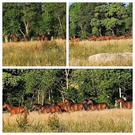 Les Naturelles Saint-Aubin-de-Locquenay ภายนอก รูปภาพ